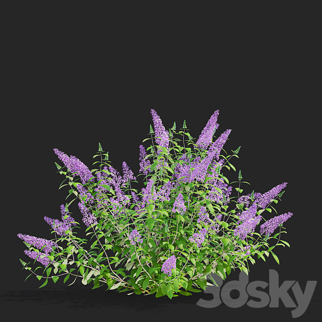 3dsky Free Download