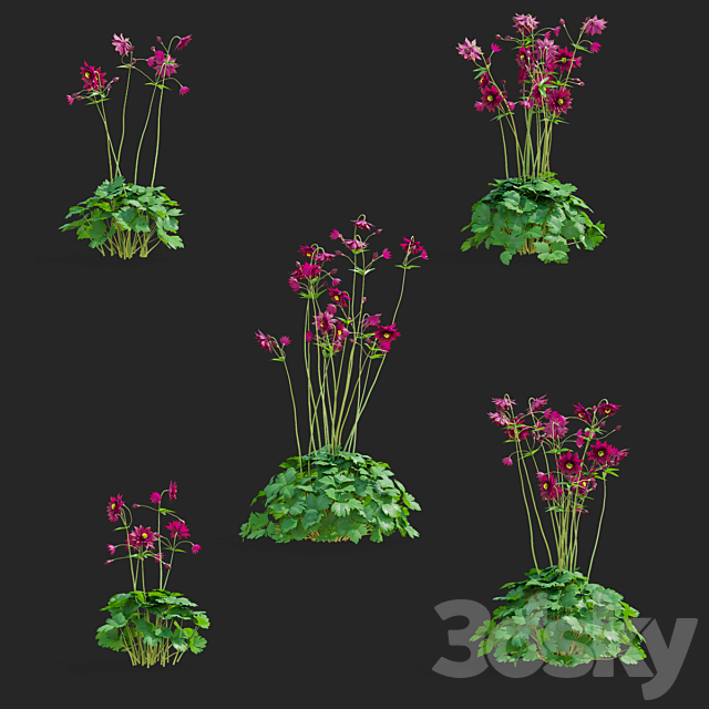 3d model