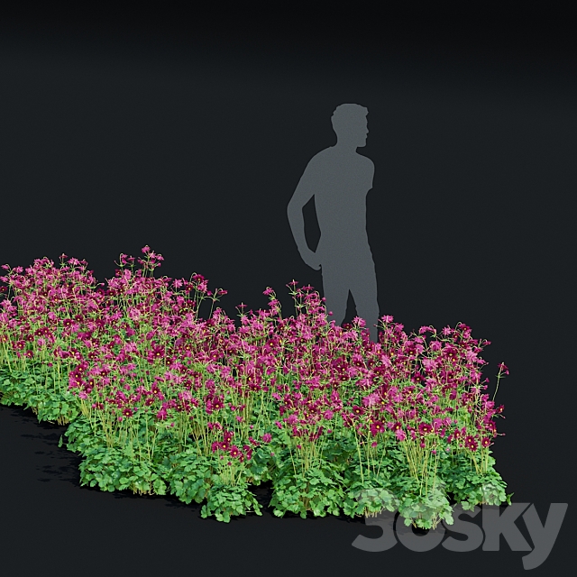 3dsky Free Download