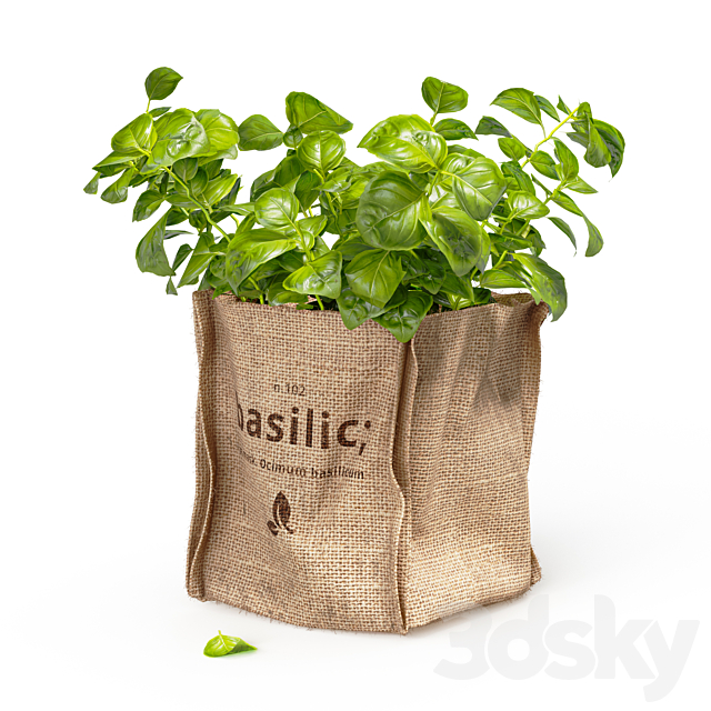 3d model