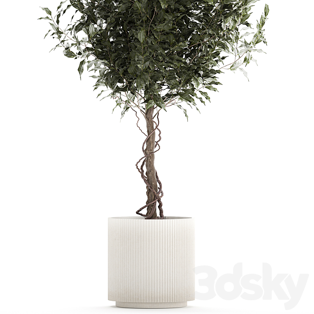 3d model