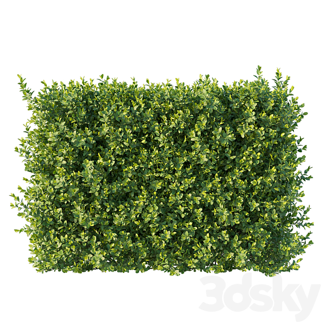 3d model