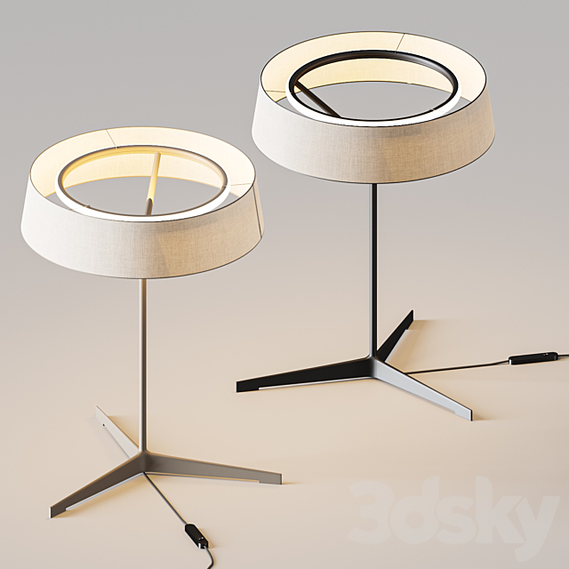 3d model