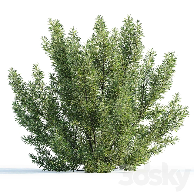 3d model