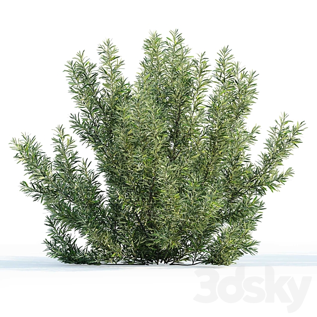 3dsky Free Download