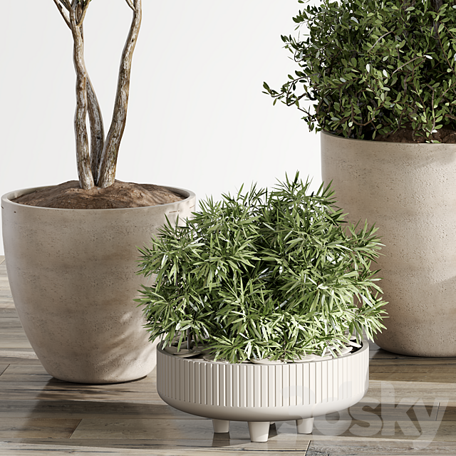 indoor Plant 054 Tree and Bush 3ds Max - thumbnail 3