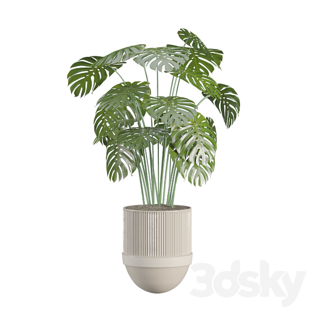 indoor-plant-set 3ds Max - thumbnail 2