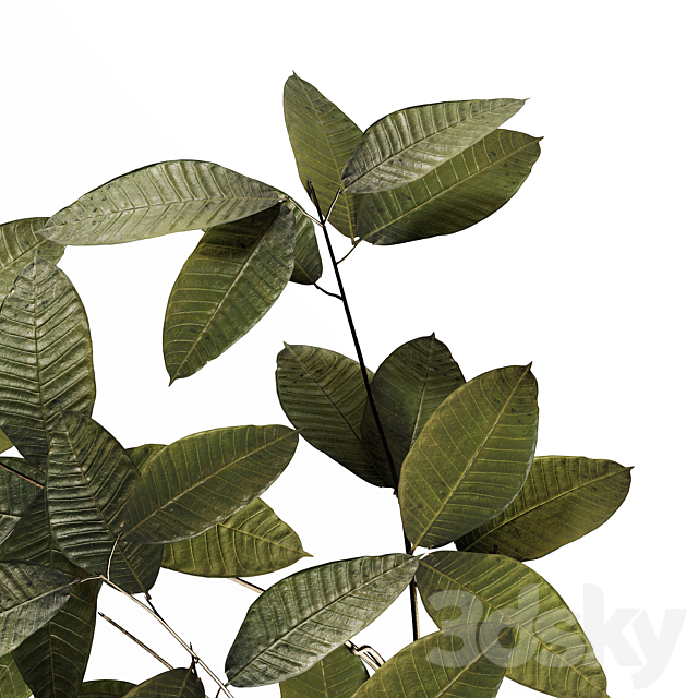 3d model