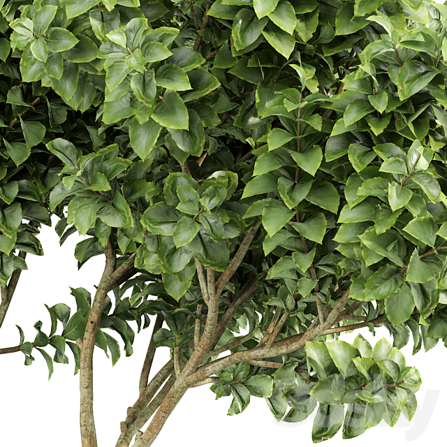 3d model