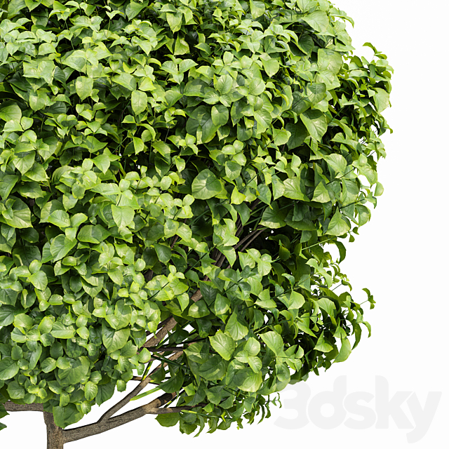 3dsky Free Download