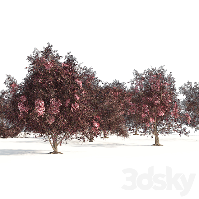 3d model