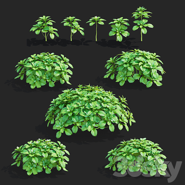3d model