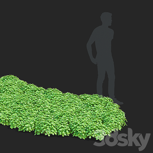 3dsky Free Download