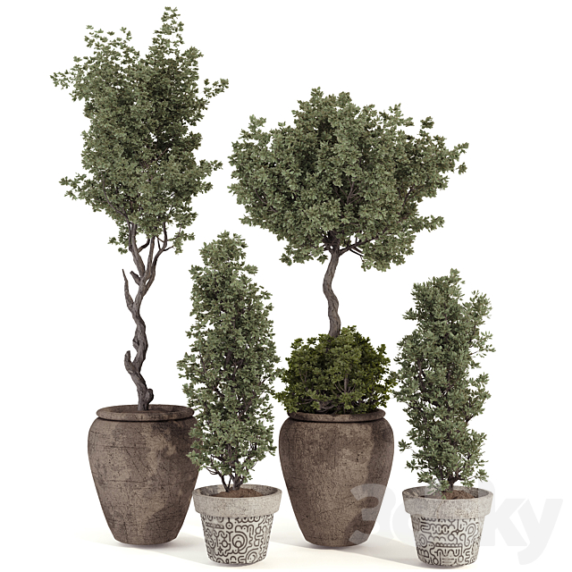 3d model