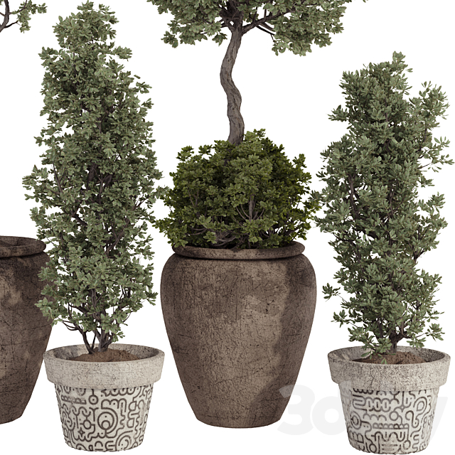 3dsky Free Download