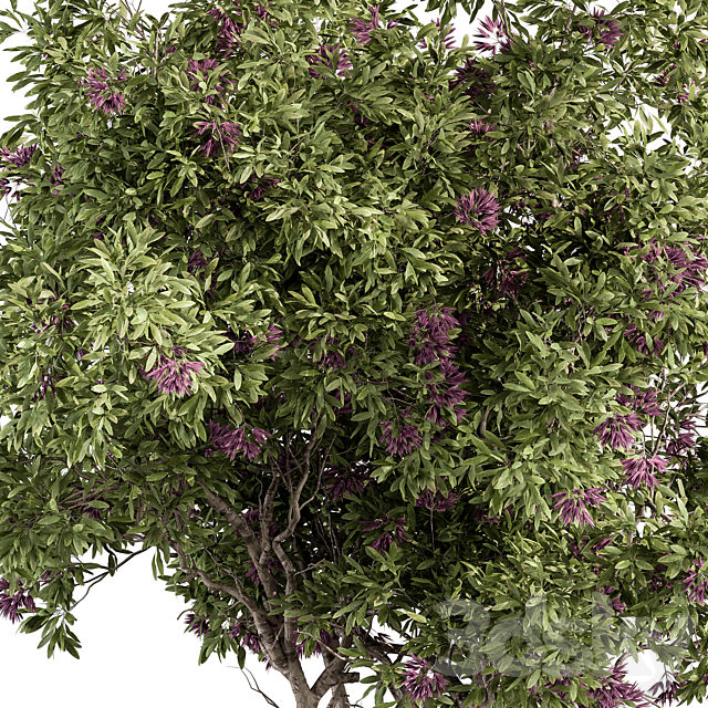 3d model