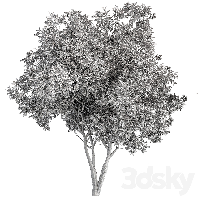3dsky Free Download