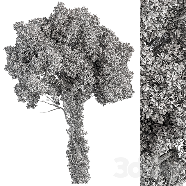 3dsky Free Download