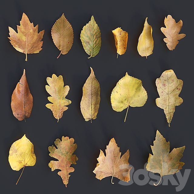 3d model