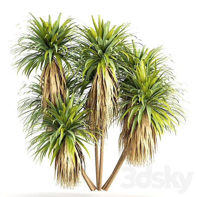 3d model