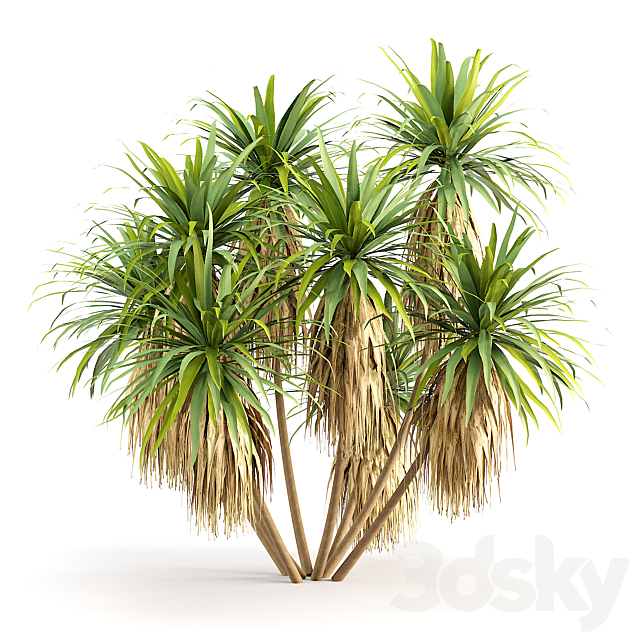 3dsky Free Download