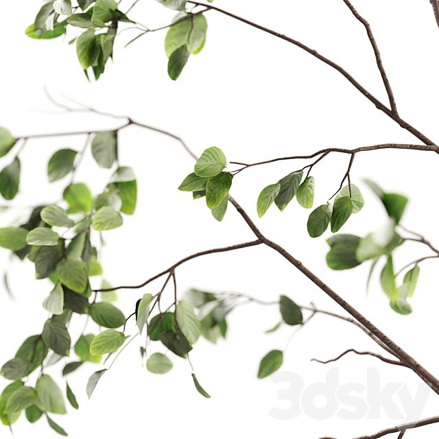 3dsky Free Download