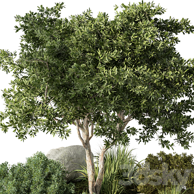 Outdoor Garden Plants Set.41 3ds Max - thumbnail 3