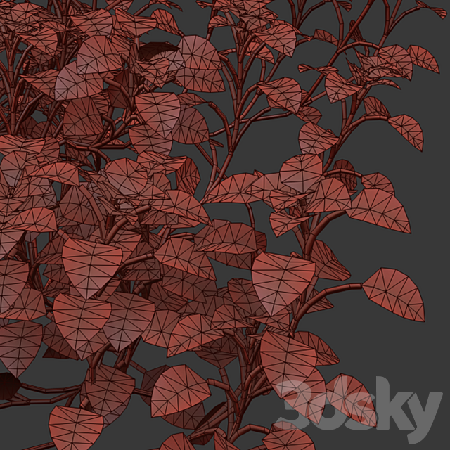 Lawn: Chickweed (chickweed) and bluegrass 3ds Max - thumbnail 3