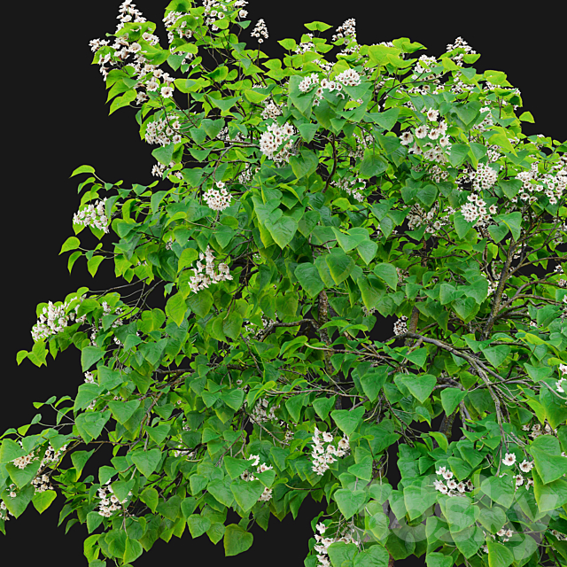 3dsky Free Download
