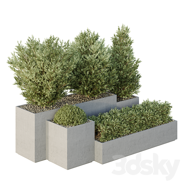 HQ Tree and bush garden box outdoor VOL 27 3ds Max - thumbnail 2
