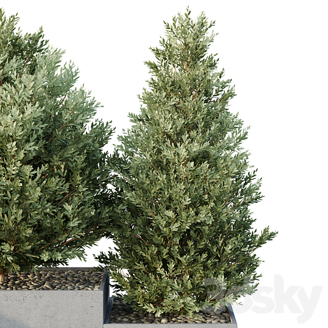 HQ Tree and bush garden box outdoor VOL 27 3ds Max - thumbnail 3