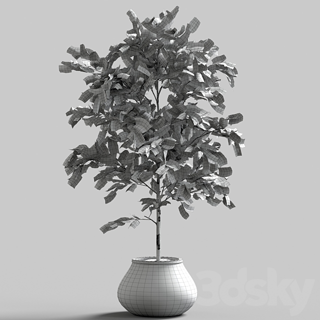 3d model