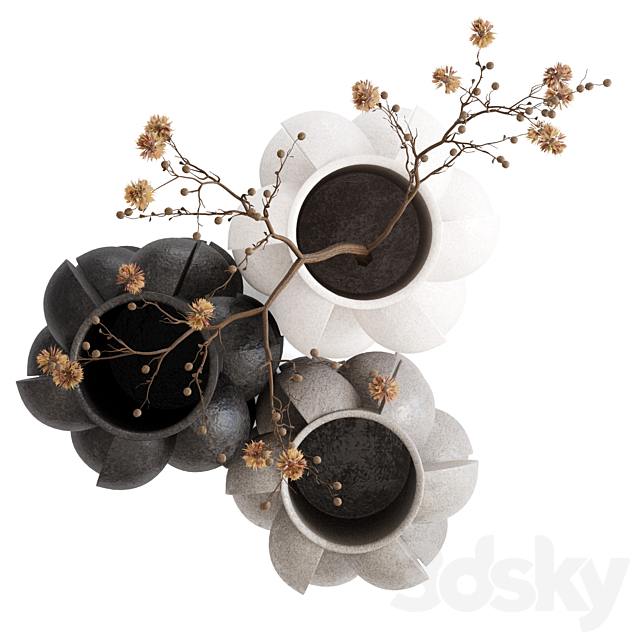 3dsky Free Download