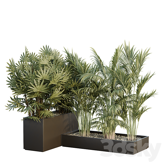 HQ Tree and bush garden box outdoor VOL 44 3ds Max - thumbnail 2