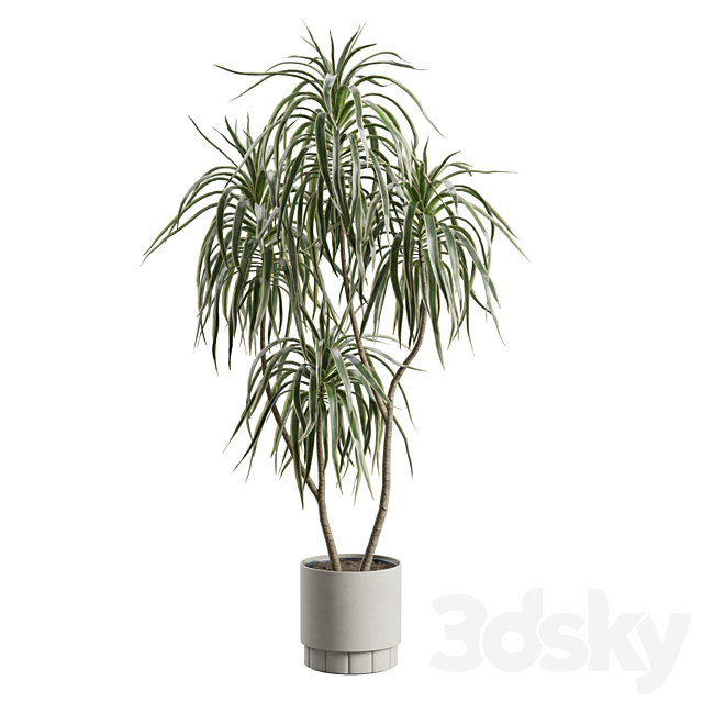 3d model