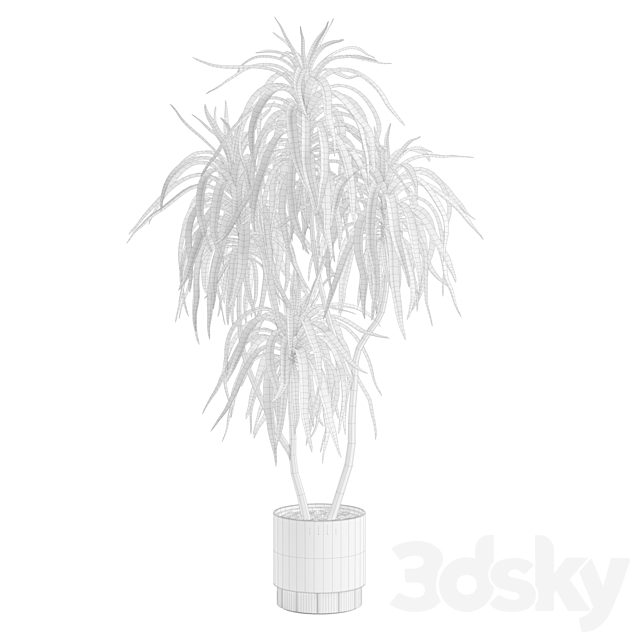 3dsky Free Download