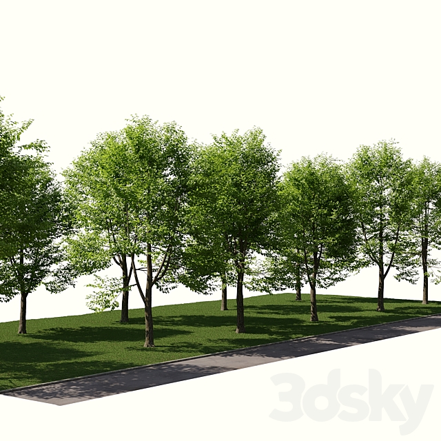 3d model