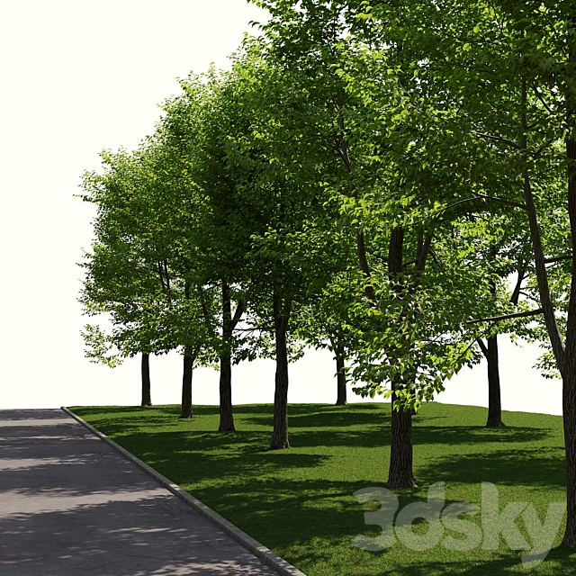 3dsky Free Download