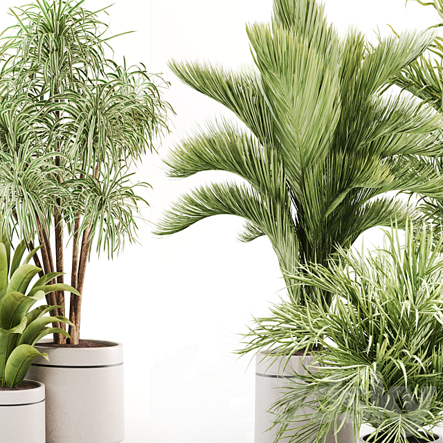 IndoorPlantSet015 3ds Max - thumbnail 3