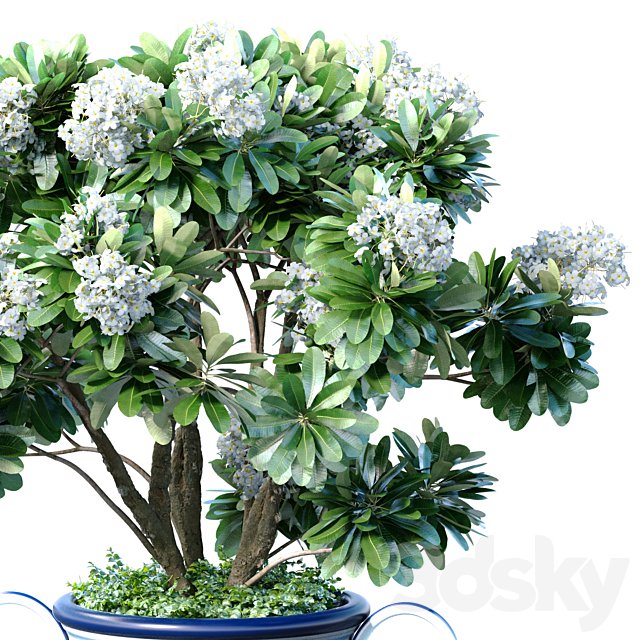 3d model