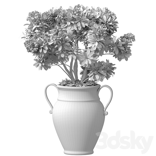 3dsky Free Download