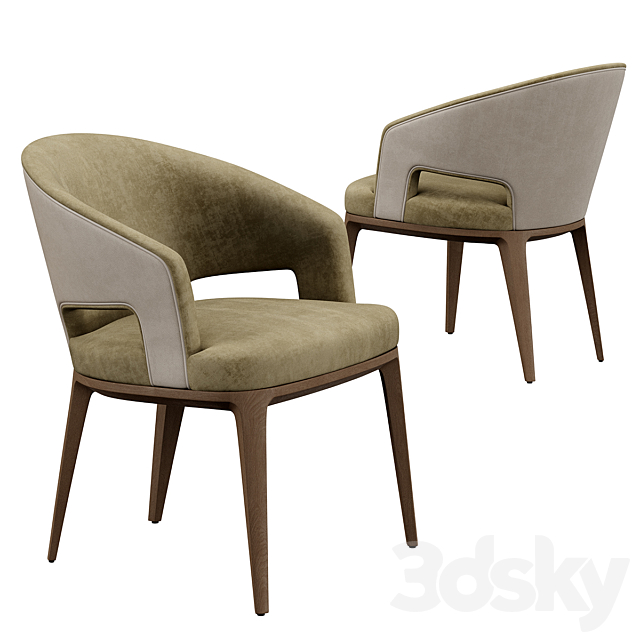 3d model