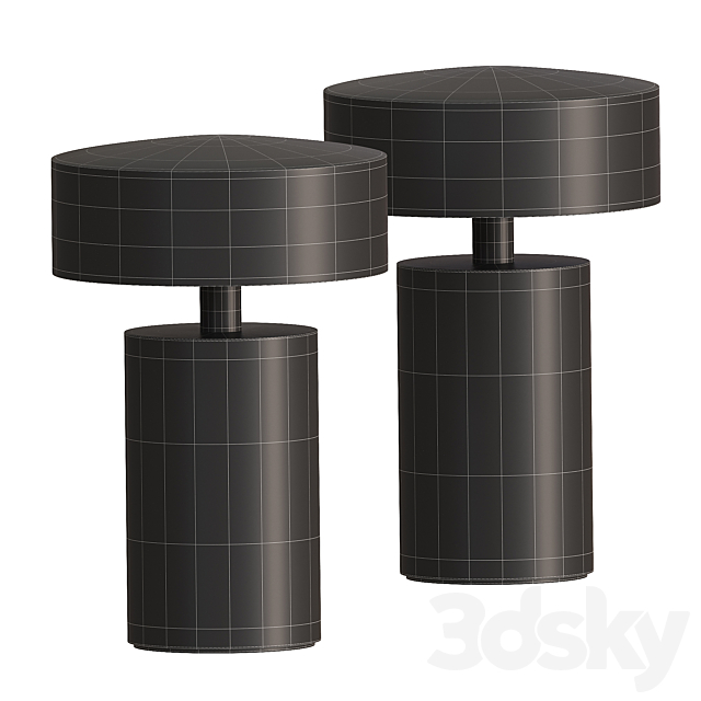 3d model