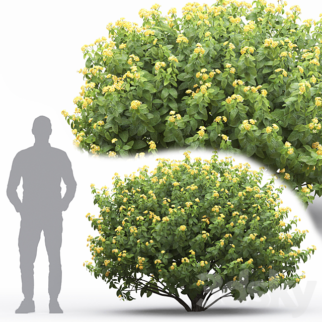 3d model