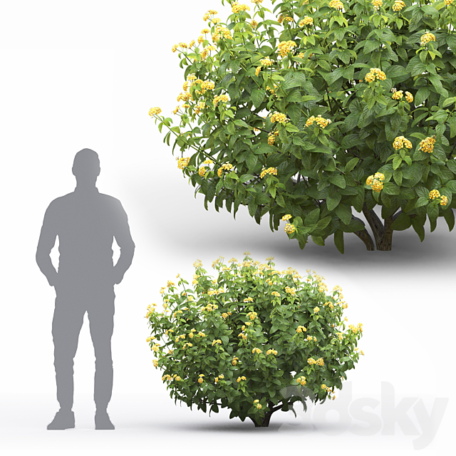 3dsky Free Download