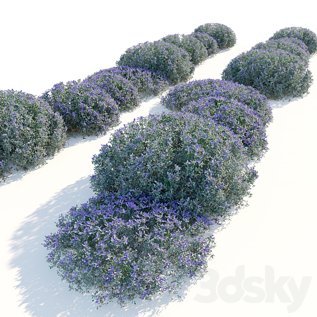 3dsky Free Download