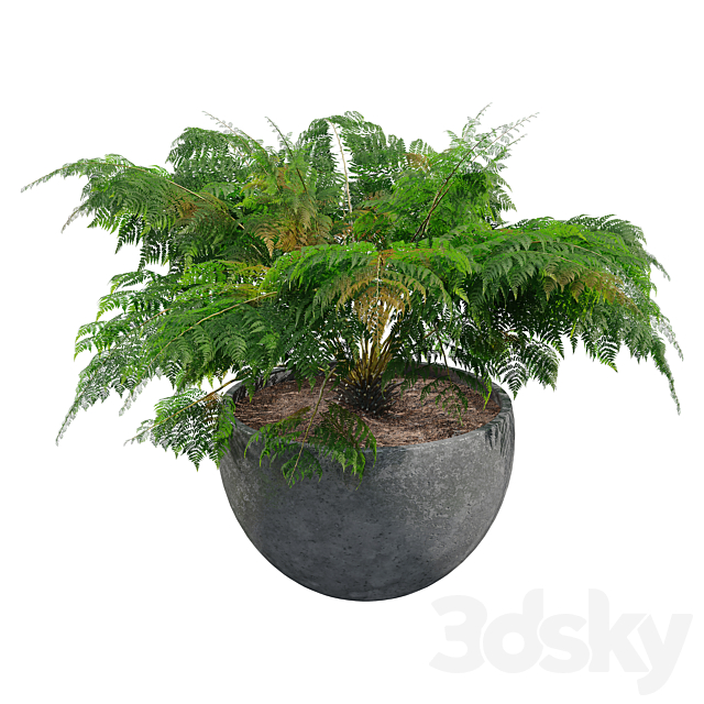 3d model