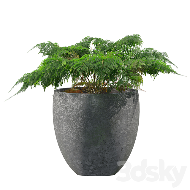 3dsky Free Download