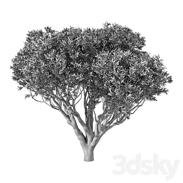 Tree No.89 3ds Max - thumbnail 3