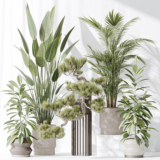 Indoor plant set 31 3ds Max - thumbnail 2